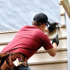 Best Custom Trim and Detailing for Siding  in Trenton, MI